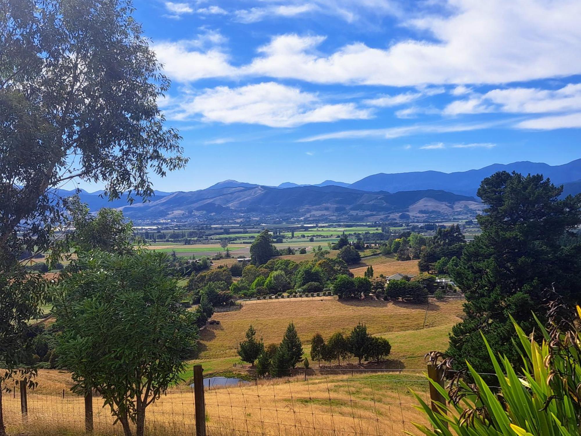 Golden Hills Farm Cottage Nelson Luaran gambar