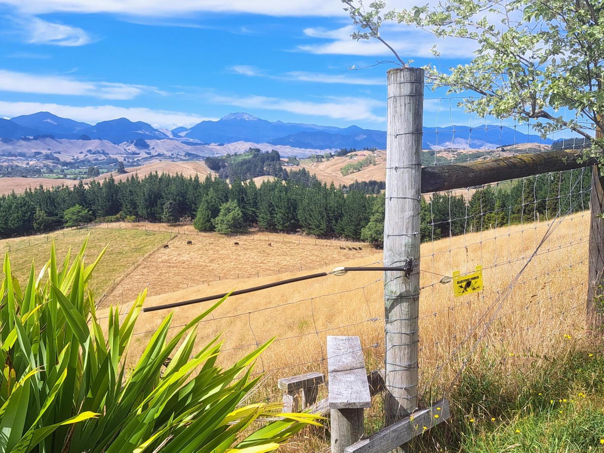 Golden Hills Farm Cottage Nelson Luaran gambar