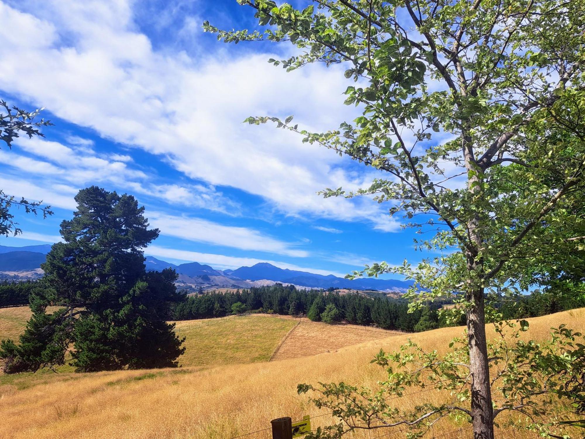 Golden Hills Farm Cottage Nelson Luaran gambar
